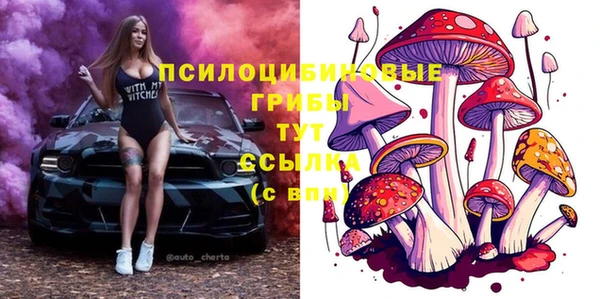 spice Верхний Тагил